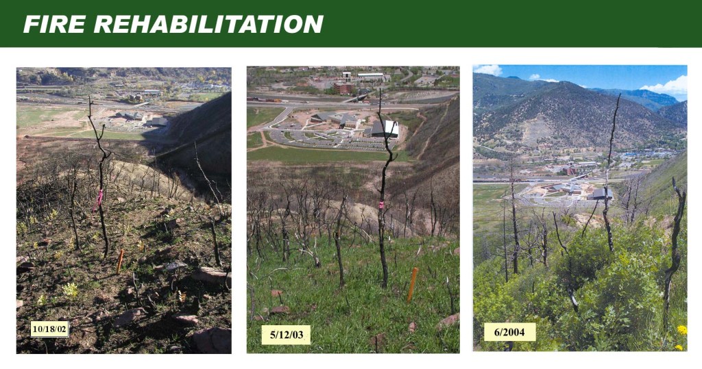 Coal Seal fire rehabilitation, burned out soil, hydrophobic, Biosol Mix