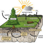 PermaMatrix Diagram