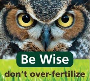 Be Wise Don't Over Fertilize