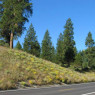 Chiloquin Highway, Oregon